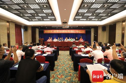 信息技術(shù)賦能，質(zhì)量安全護(hù)航——記海南省建設(shè)工程質(zhì)量安全檢測(cè)協(xié)會(huì)商品混凝土分會(huì)成立